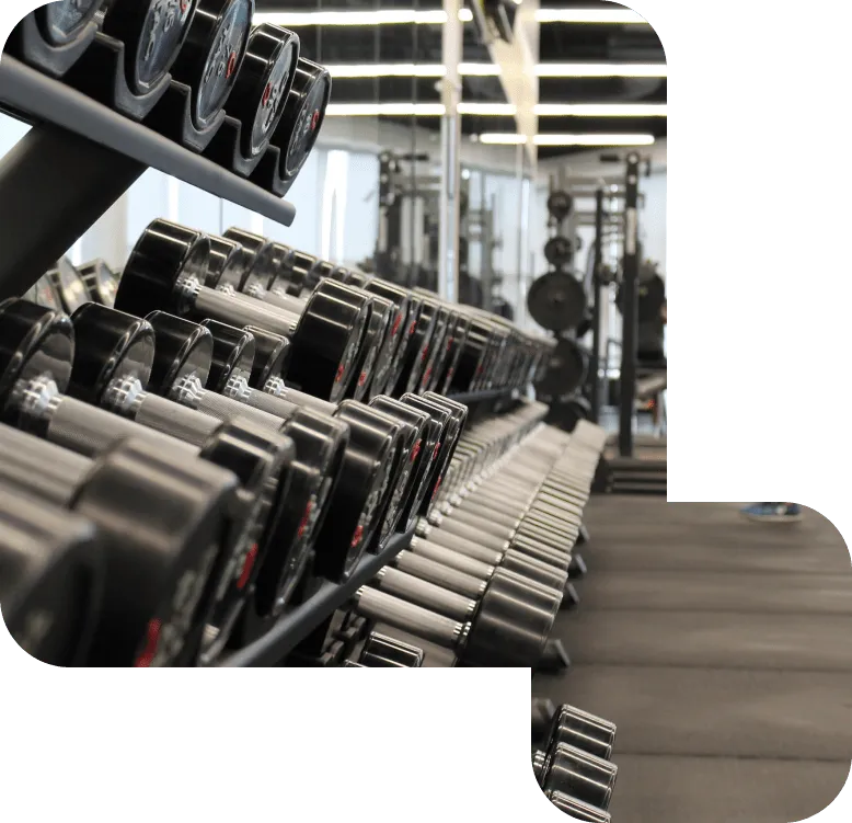 Hantlar i ett gym